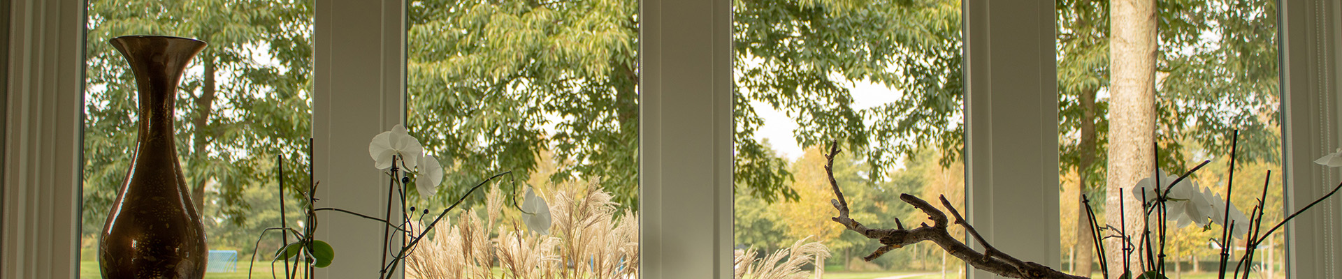 Grande fenêtre en PVC